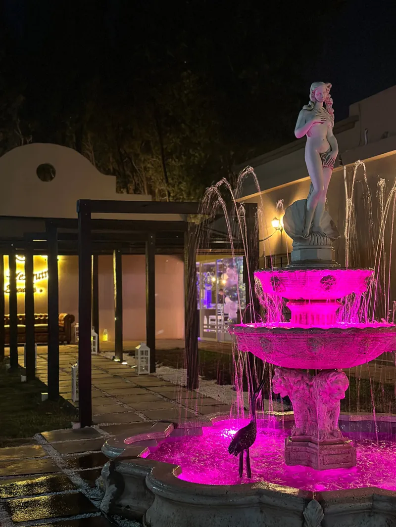 Fuente iluminada de noche en el parque